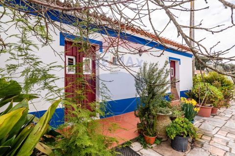 Farm i Estremoz, Evora, Estremoz - € 295.000 | Ref: 124151054-58 - foto 9
