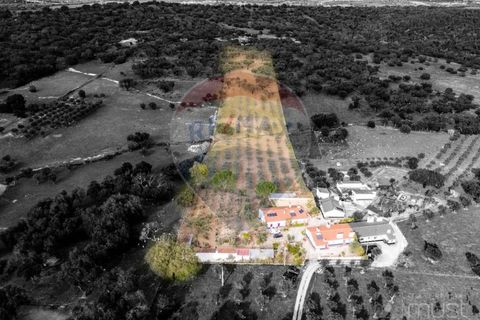 Farm i Estremoz, Evora, Estremoz - € 295.000 | Ref: 124151054-58 - foto 2
