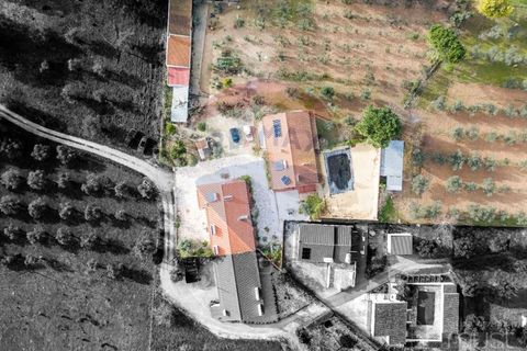 Farm i Estremoz, Evora, Estremoz - € 295.000 | Ref: 124151054-58 - foto 3