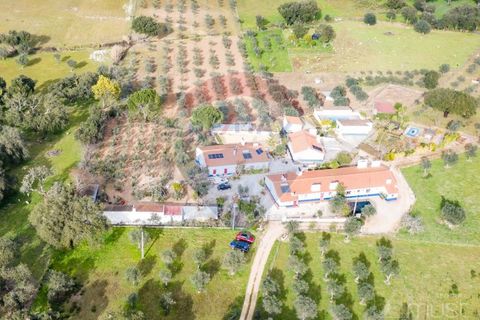 Farm i Estremoz, Evora, Estremoz - € 295.000 | Ref: 124151054-58 - foto 4