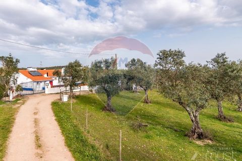 Farm i Estremoz, Evora, Estremoz - € 295.000 | Ref: 124151054-58 - foto 6