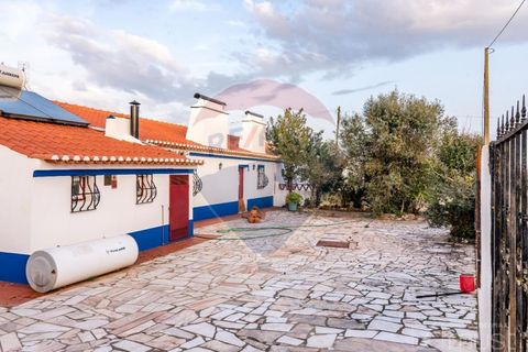 Farm i Estremoz, Evora, Estremoz - € 295.000 | Ref: 124151054-58 - foto 7