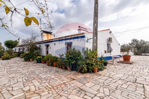 Farm i Estremoz, Evora, Estremoz - € 295.000 | Ref: 124151054-58 - foto 8