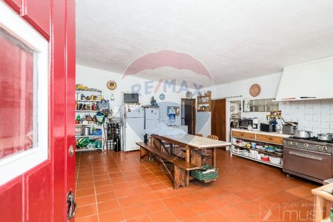 Farm i Estremoz, Evora, Estremoz - € 295.000 | Ref: 124151054-58 - foto 20