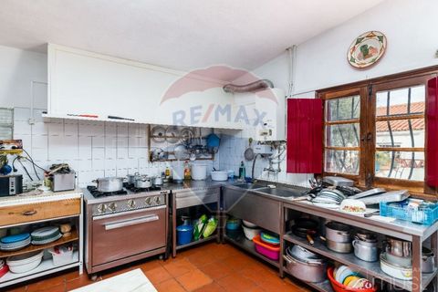 Farm i Estremoz, Evora, Estremoz - € 295.000 | Ref: 124151054-58 - foto 22