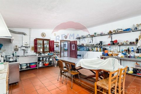 Farm i Estremoz, Evora, Estremoz - € 295.000 | Ref: 124151054-58 - foto 23