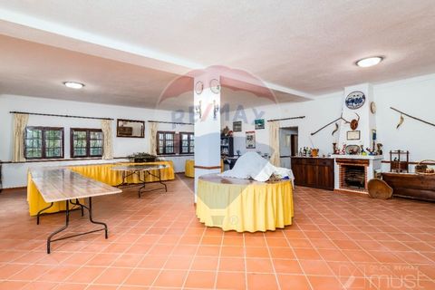Farm i Estremoz, Evora, Estremoz - € 295.000 | Ref: 124151054-58 - foto 27