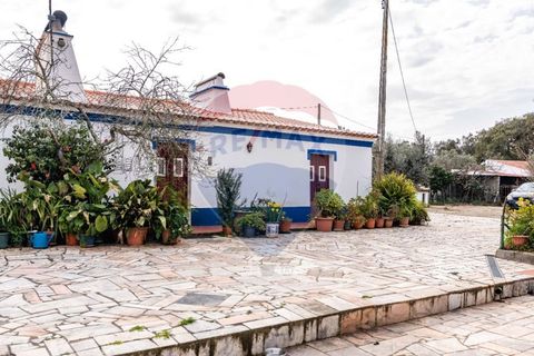 Farm i Estremoz, Evora, Estremoz - € 295.000 | Ref: 124151054-58 - foto 33