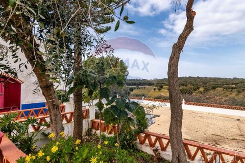 Farm i Estremoz, Evora, Estremoz - € 295.000 | Ref: 124151054-58 - foto 38