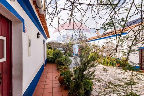 Farm i Estremoz, Evora, Estremoz - € 295.000 | Ref: 124151054-58 - foto 39