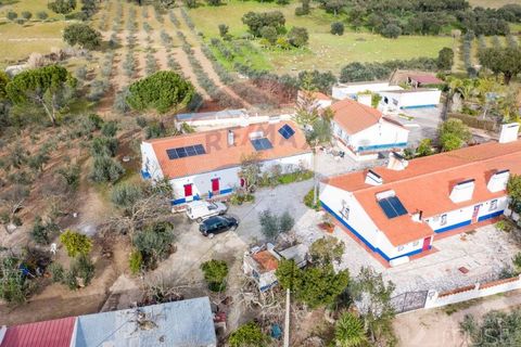 Farm i Estremoz, Evora, Estremoz - € 295.000 | Ref: 124151054-58 - foto 41