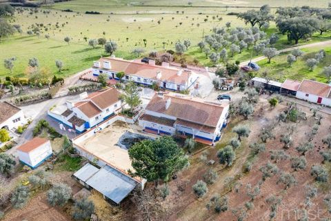 Farm i Estremoz, Evora, Estremoz - € 295.000 | Ref: 124151054-58 - foto 42