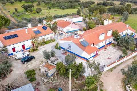 Farm i Estremoz, Evora, Estremoz - € 295.000 | Ref: 124151054-58 - foto 43