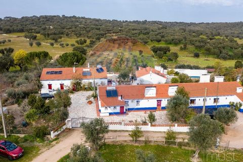 Farm i Estremoz, Evora, Estremoz - € 295.000 | Ref: 124151054-58 - foto 44