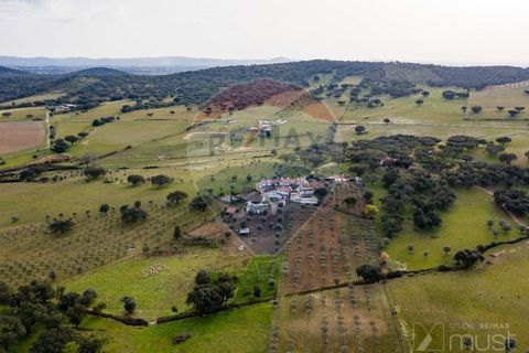 Farm i Estremoz, Evora, Estremoz - € 295.000 | Ref: 124151054-58 - foto 45