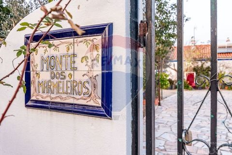 Farm i Estremoz, Evora, Estremoz - € 295.000 | Ref: 124151054-58 - foto 47