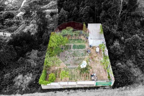 Helårsgrund i Sintra, Lisbon, Sintra - € 87.500 | Ref: 124151161-5 - foto 5