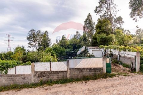 Helårsgrund i Sintra, Lisbon, Sintra - € 87.500 | Ref: 124151161-5 - foto 7