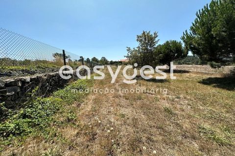 Terra a Trancoso, Guarda, Trancoso - € 35.000 | Ref: BG93127TM - foto 4