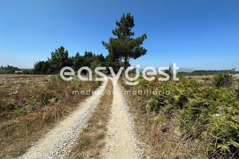 Terra a Trancoso, Guarda, Trancoso - € 35.000 | Ref: BG93127TM - foto 6