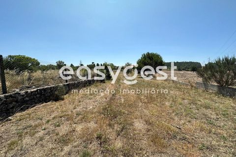 Terra a Trancoso, Guarda, Trancoso - € 35.000 | Ref: BG93127TM - foto 7