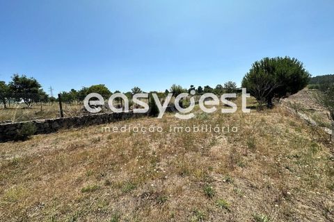 Terra a Trancoso, Guarda, Trancoso - € 35.000 | Ref: BG93127TM - foto 8
