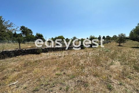 Terra a Trancoso, Guarda, Trancoso - € 35.000 | Ref: BG93127TM - foto 9