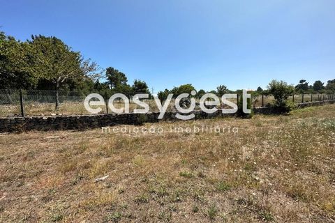 Terra a Trancoso, Guarda, Trancoso - € 35.000 | Ref: BG93127TM - foto 10