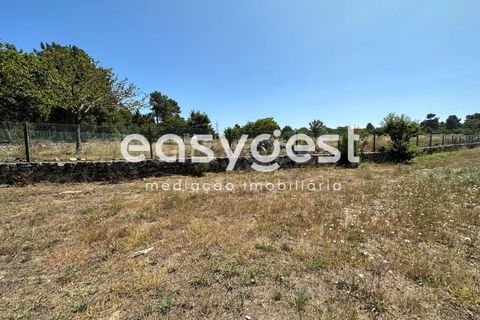 Terra a Trancoso, Guarda, Trancoso - € 35.000 | Ref: BG93127TM - foto 11