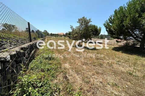 Terra a Trancoso, Guarda, Trancoso - € 35.000 | Ref: BG93127TM - foto 12
