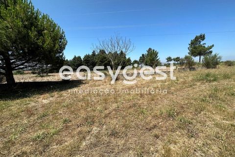 Terra a Trancoso, Guarda, Trancoso - € 35.000 | Ref: BG93127TM - foto 13