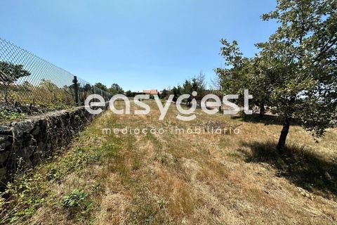 Terra a Trancoso, Guarda, Trancoso - € 35.000 | Ref: BG93127TM - foto 14