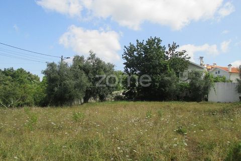 Helårsgrund i Lousa, Coimbra, Lousa - € 97.500 | Ref: ZMPT559955 - foto 2