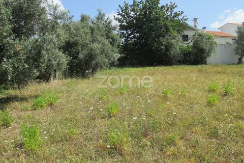 Helårsgrund i Lousa, Coimbra, Lousa - € 97.500 | Ref: ZMPT559955 - foto 4
