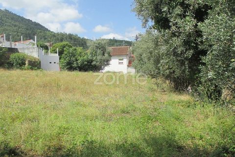 Helårsgrund i Lousa, Coimbra, Lousa - € 97.500 | Ref: ZMPT559955 - foto 7