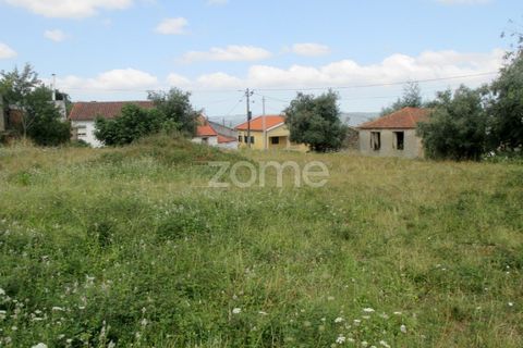 Helårsgrund i Lousa, Coimbra, Lousa - € 97.500 | Ref: ZMPT559955 - foto 8