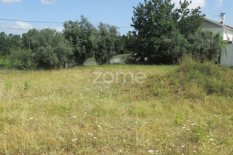 Helårsgrund i Lousa, Coimbra, Lousa - € 97.500 | Ref: ZMPT559955 - foto 9