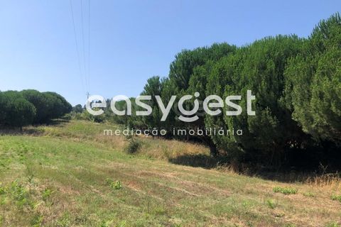 Terra a Batalha, Leiria, Batalha - € 95.000 | Ref: OR93164EW - foto 4