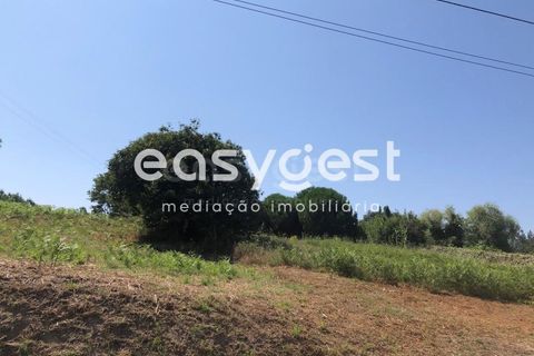 Terra a Batalha, Leiria, Batalha - € 95.000 | Ref: OR93164EW - foto 5