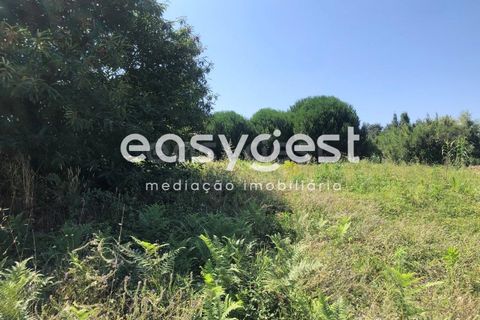 Terra a Batalha, Leiria, Batalha - € 95.000 | Ref: OR93164EW - foto 9