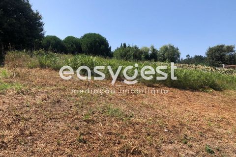 Terra a Batalha, Leiria, Batalha - € 95.000 | Ref: OR93164EW - foto 10