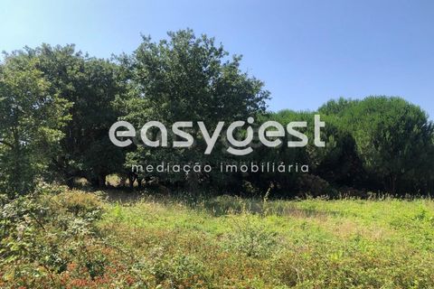 Terra a Batalha, Leiria, Batalha - € 95.000 | Ref: OR93164EW - foto 13