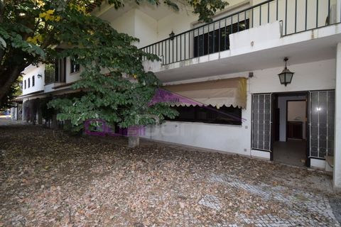 Villa em Minde, Santarem, Minde - € 320.000 | Ref: 2261 - foto 43