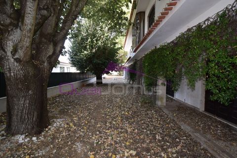 Villa em Minde, Santarem, Minde - € 320.000 | Ref: 2261 - foto 44