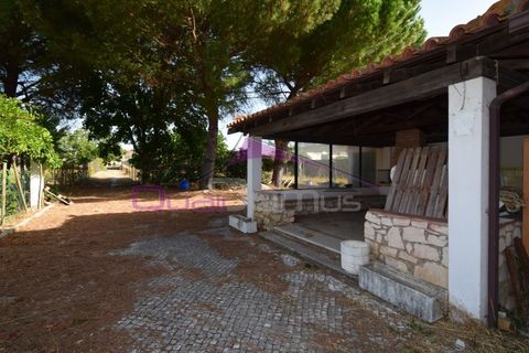 Villa em Minde, Santarem, Minde - € 320.000 | Ref: 2261 - foto 45