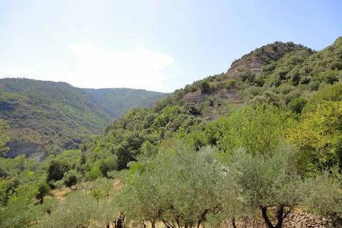 Villa i Les Vans, Ardeche, Les Vans - € 360.000 | Ref: 83173958 - foto 4