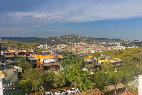 Villa i Lloret De Mar, Gerona, Lloret De Mar - € 620.000 | Ref: CHA0253 - foto 18