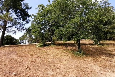 Helårsgrund i Obidos, Leiria, Obidos - € 424.600 | Ref: BL938 - foto 4