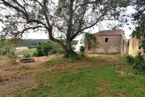 Helårsgrund i Obidos, Leiria, Obidos - € 424.600 | Ref: BL938 - foto 5