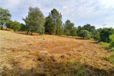 Helårsgrund i Obidos, Leiria, Obidos - € 424.600 | Ref: BL938 - foto 1